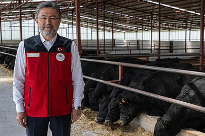 Bakan Yumaklı: Hayvan sayısında artış başladı