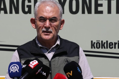 Orman Genel Müdürü Karacabey'den Köyceğiz'deki yangınla ilgili açıklama...