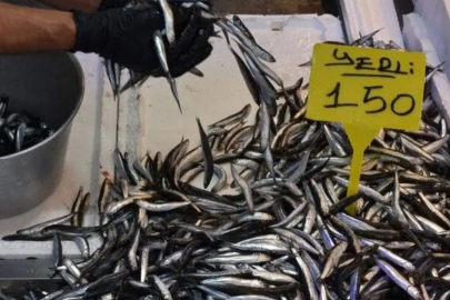 Tezgahların yıldızı hamsi oldu: Fiyatlar 150 liraya düştü