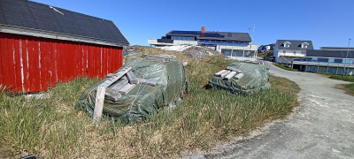 grönland